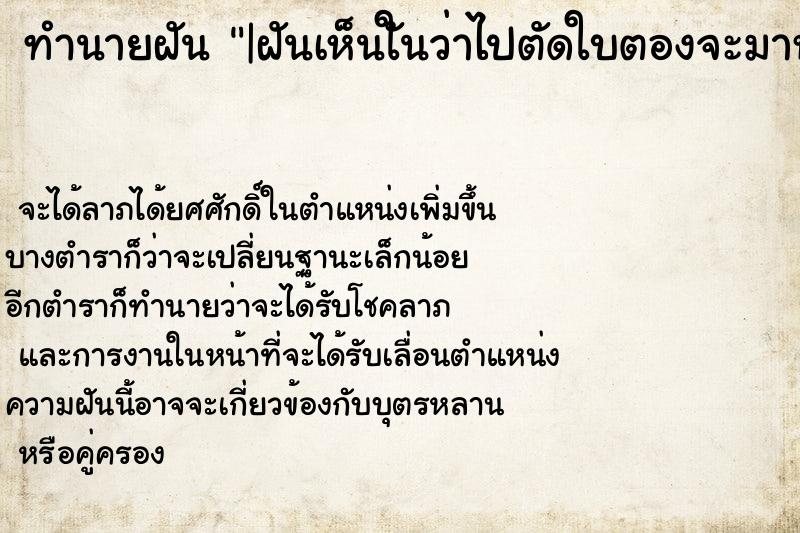 ทำนายฝัน|ฝันเห็นใันว่าไปตัดใบตองจะมาห่อข้าวต้ม ทำนายฝันทำนายฝัน|ฝันเห็นใันว่าไปตัดใบตองจะมาห่อข้าวต้ม